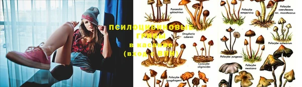 кокаин премиум Белокуриха