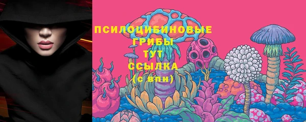 кокс Бородино