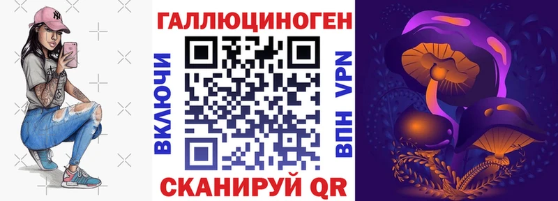 Псилоцибиновые грибы Cubensis  купить наркоту  Северск 